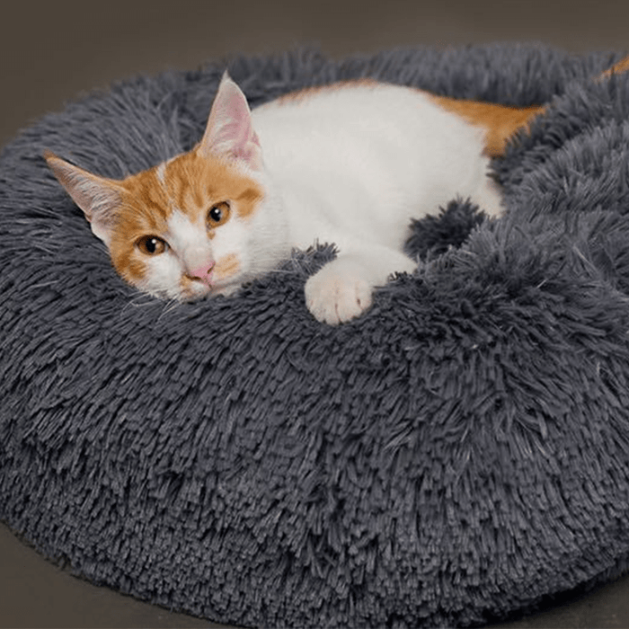 Bequemes beruhigendes Bett Für Katze und Hund