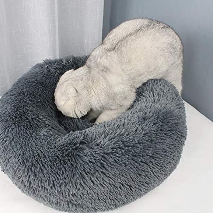 Coussin Apaisant Chien Moins Cher