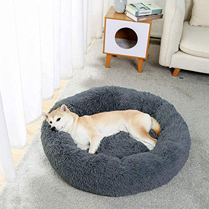 Soothing Cushion for Dogs Switzerland