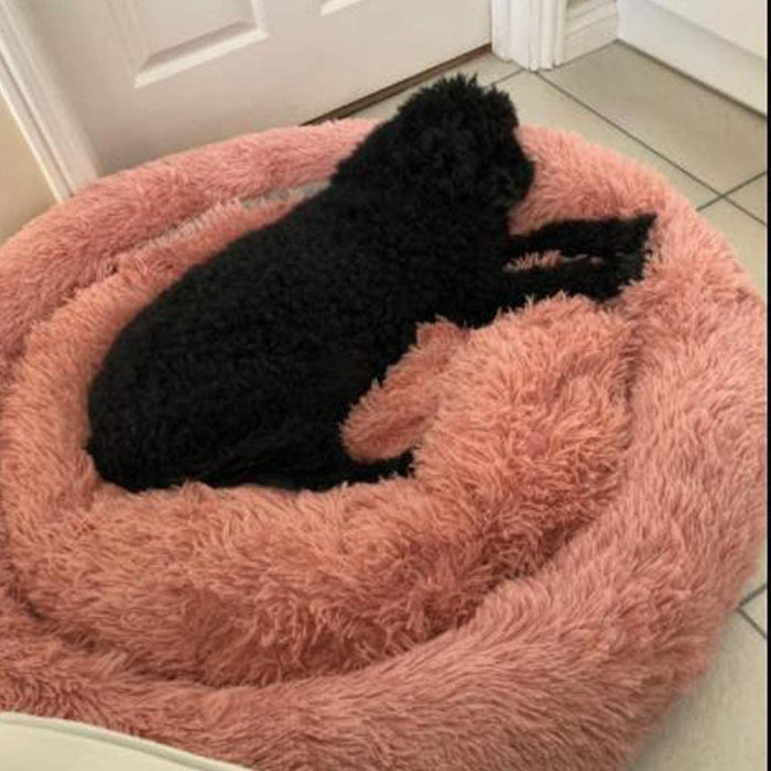 Coussin Apaisant Pour Chien XXL Pas Cher