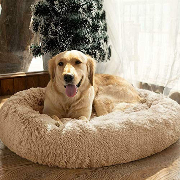 Coussin Apaisant Pour Chien Amazon 110cm